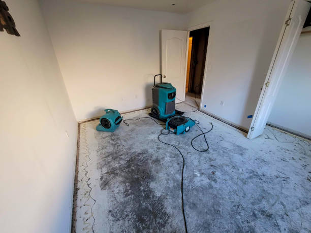 Best Sewage cleanup and water damage restoration  in Jeffersonville, KY