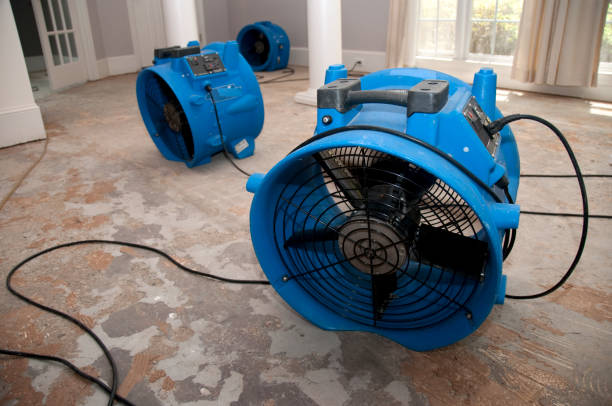 Best Water damage restoration services  in Jeffersonville, KY