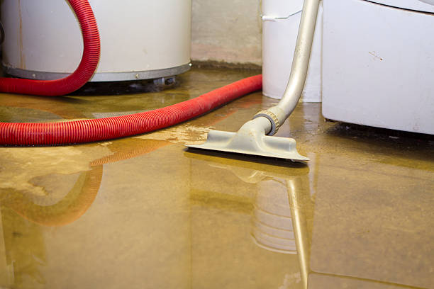 Best Emergency water damage restoration  in Jeffersonville, KY