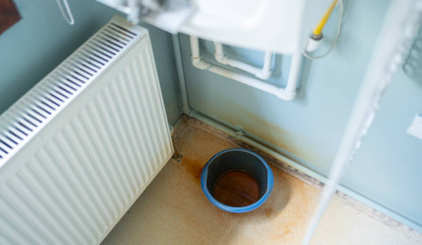 Best Flood damage cleanup  in Jeffersonville, KY