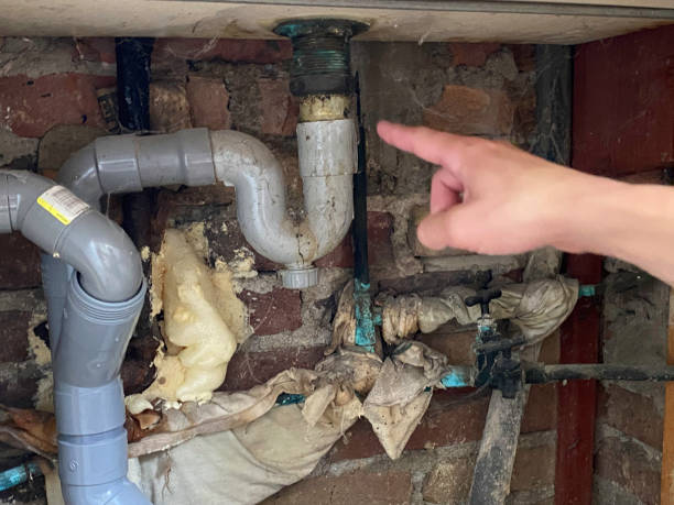 Best Water damage mitigation services  in Jeffersonville, KY