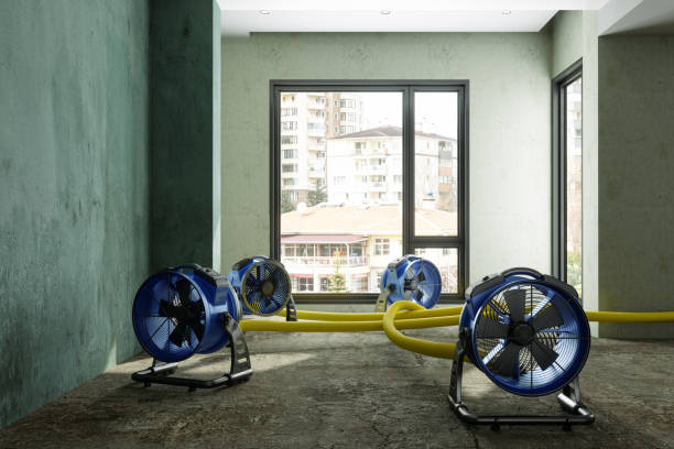 Best Water damage restoration near me  in Jeffersonville, KY