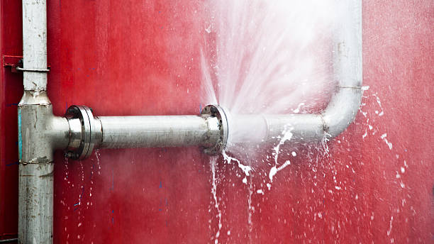 Best Basement water damage restoration  in Jeffersonville, KY