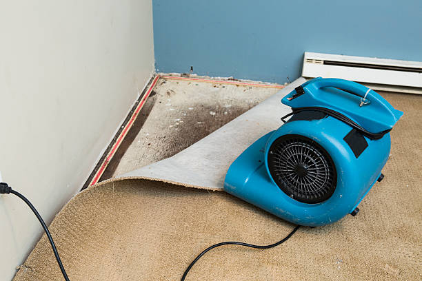 Best Fire Damage Restoration  in Jeffersonville, KY